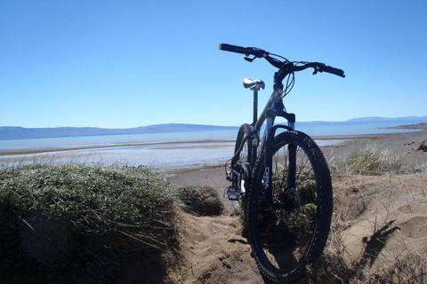 Patagonia Bike Safari: Wilderness & Wildlife - 1 Day