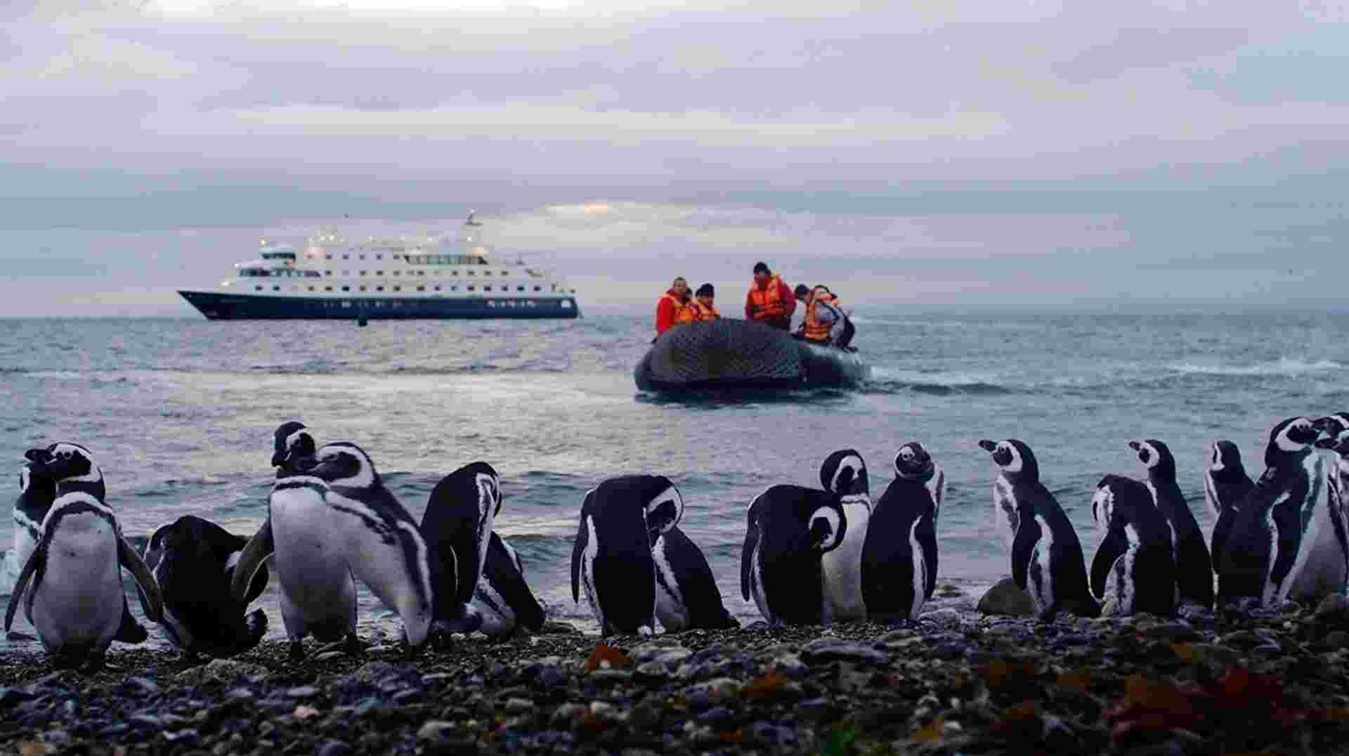 Patagonia Cruise: Ushuaia to Punta Arenas