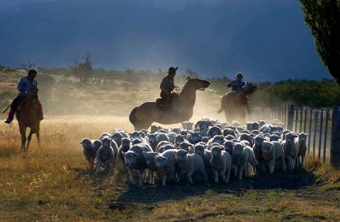 Patagonia Family Adventure: Gaucho Life And Glacier Magic - Spring Tours