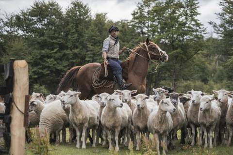 Patagonian Estancia Experience: Shearing & Bbq - Fall Tours