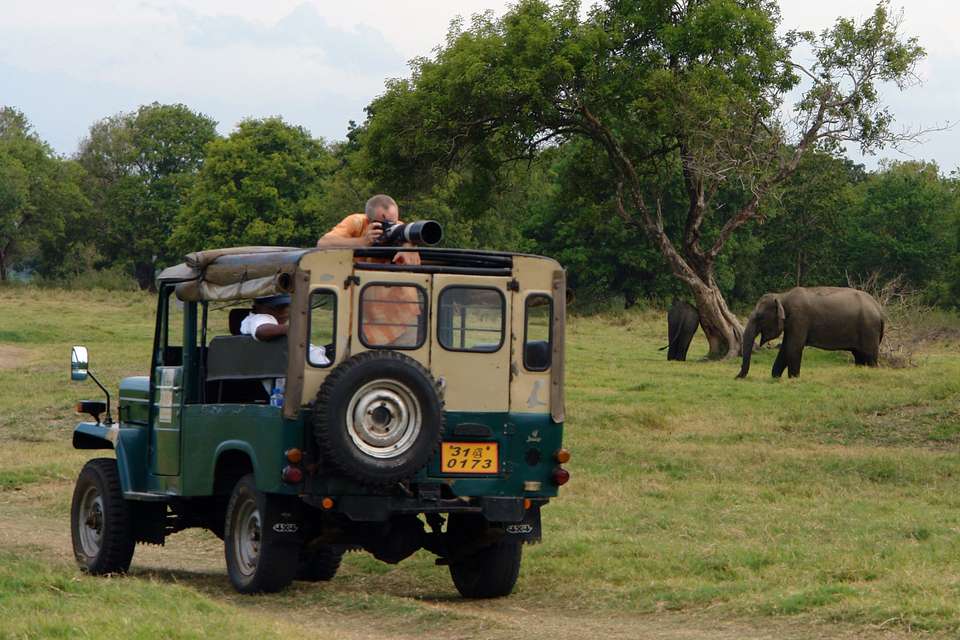 Pearl of Sri Lanka Discovery Tour - Tweet World Travel - Sri Lanka - Image 7