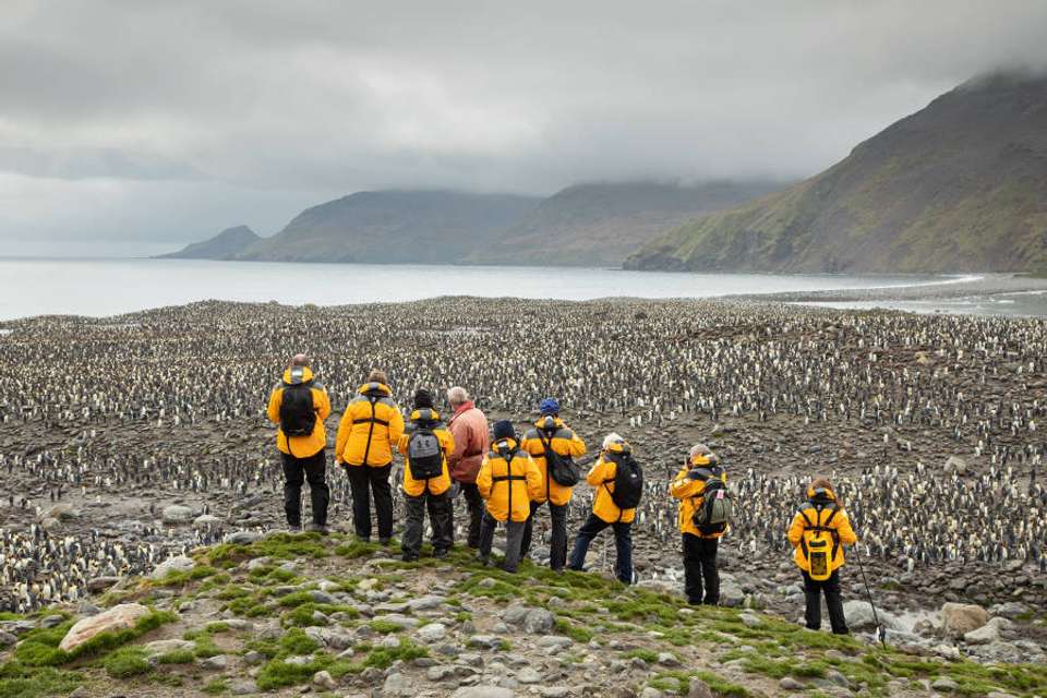 Penguins of the Far South: Falklands, South Georgia & Antarctica - Exodus Adventure Travels - Argentina - Image 15