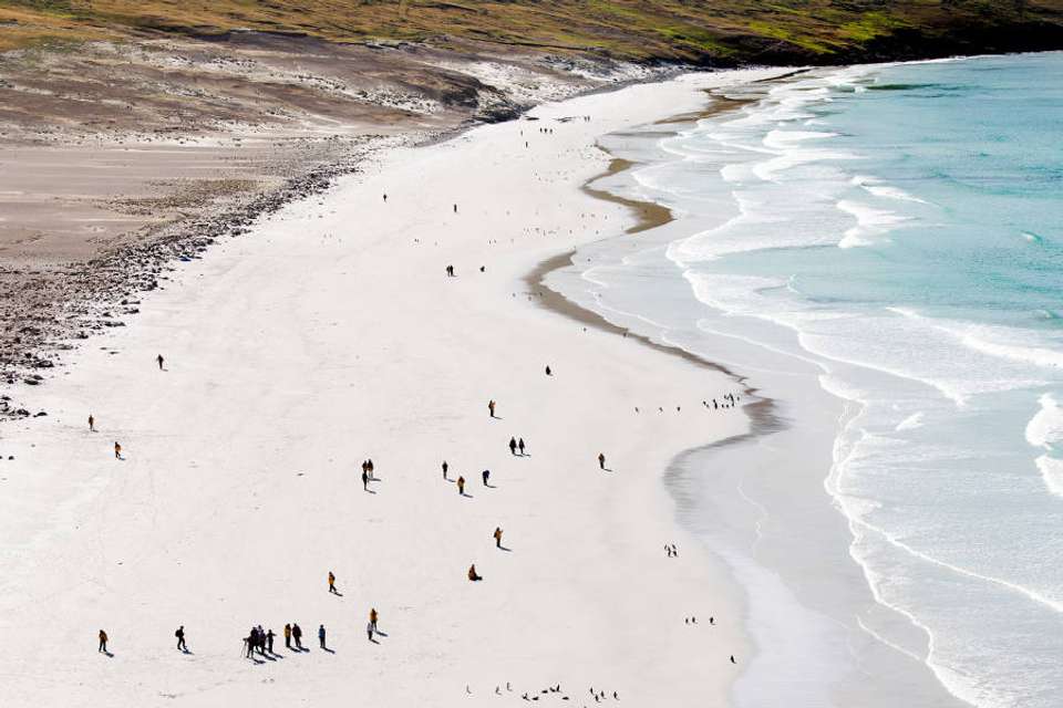 Penguins of the Far South: Falklands, South Georgia & Antarctica - Exodus Adventure Travels - Argentina - Image 10