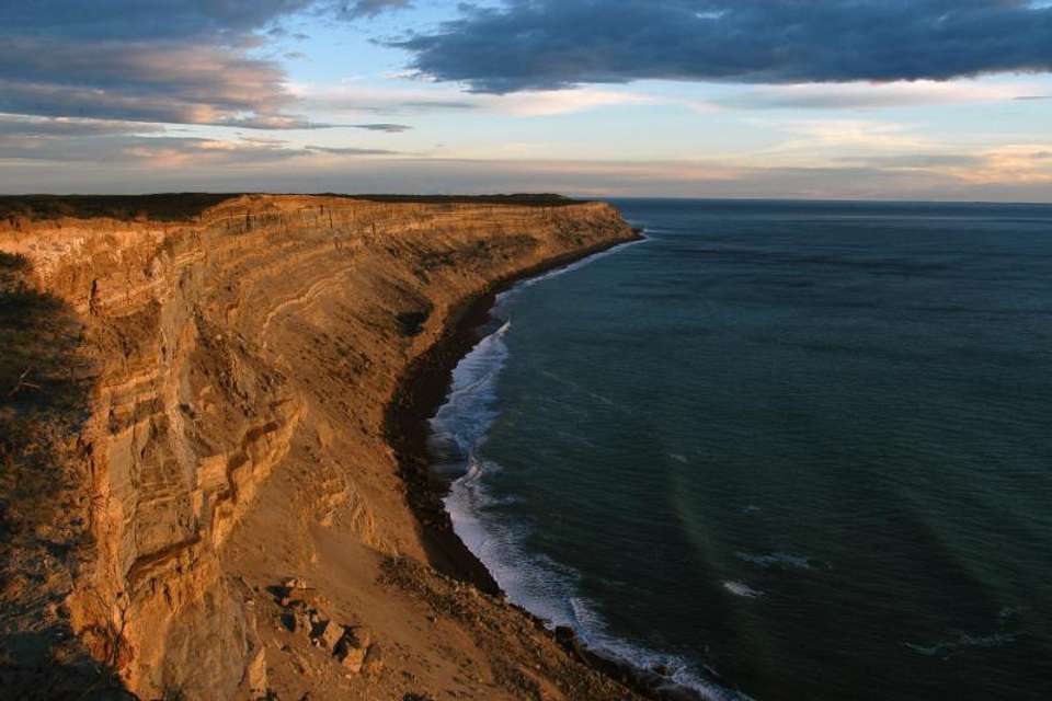 Peninsula Valdes Day Trip with optional Whale Watching - Tangol Tours - Argentina - Image 2
