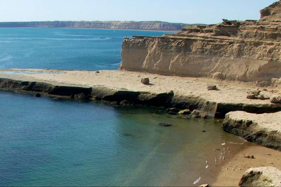 Peninsula Valdes Day Trip with optional Whale Watching - Tangol Tours - Argentina - Image 5