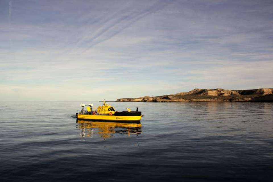 Peninsula Valdes Submarine Whale Watching - Tangol Tours - Uzbekistan - Image 4