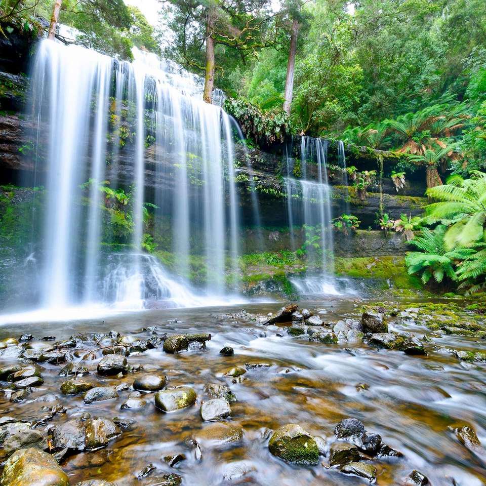 Perfect Tasmania - Trafalgar - Australia - Image 4