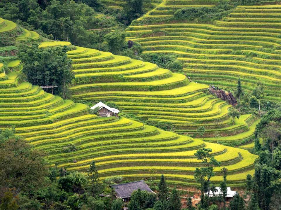 Perfect Vietnam Holiday - 20 days - On The Go Tours - Vietnam - Image 18