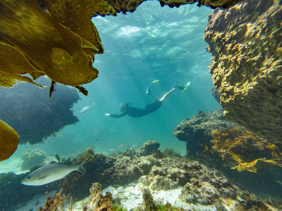 Perth to Monkey Mia & Kalbarri Explorer - 4 days - On The Go Tours - Australia - Image 4