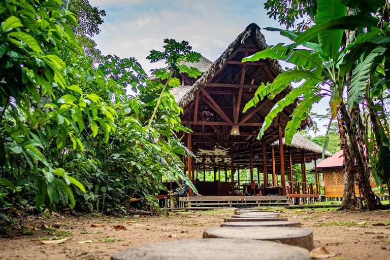 Peru Getaways and short breaks Tour: Peru: Amazon Jungle Short Break