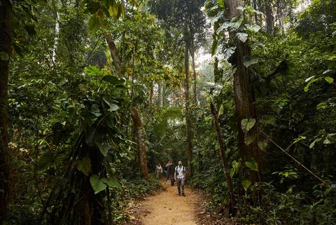 Peru: Amazon Jungle Short Break - February 2027