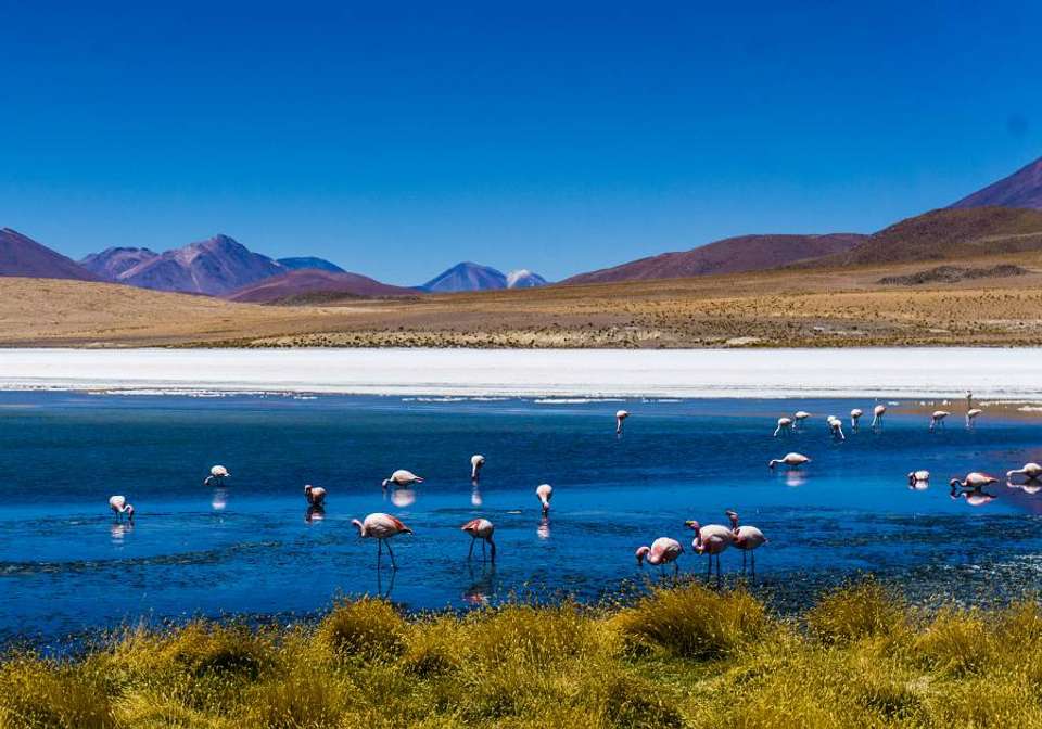 Peru and Bolivia Adventure - Indus Travels - Peru - Image 6