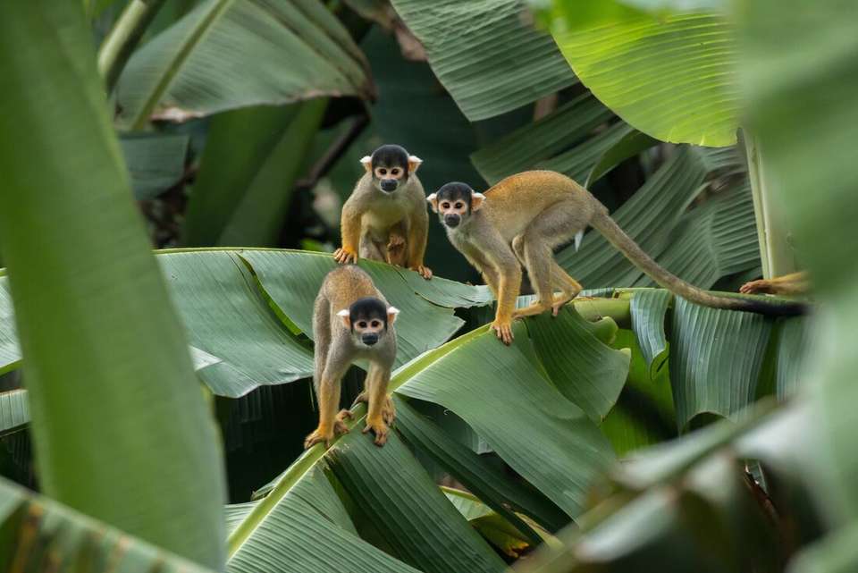 Peru & Bolivia Encounter - Intrepid Travel - Peru - Image 14
