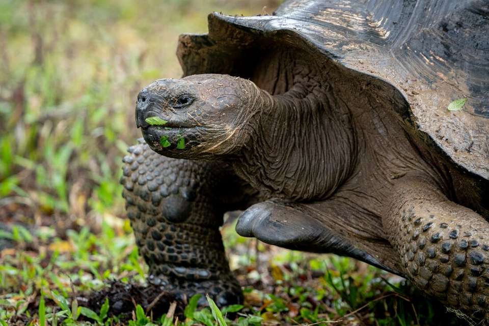 Peru & Galapagos Explorer - Intrepid Travel - Peru - Image 2