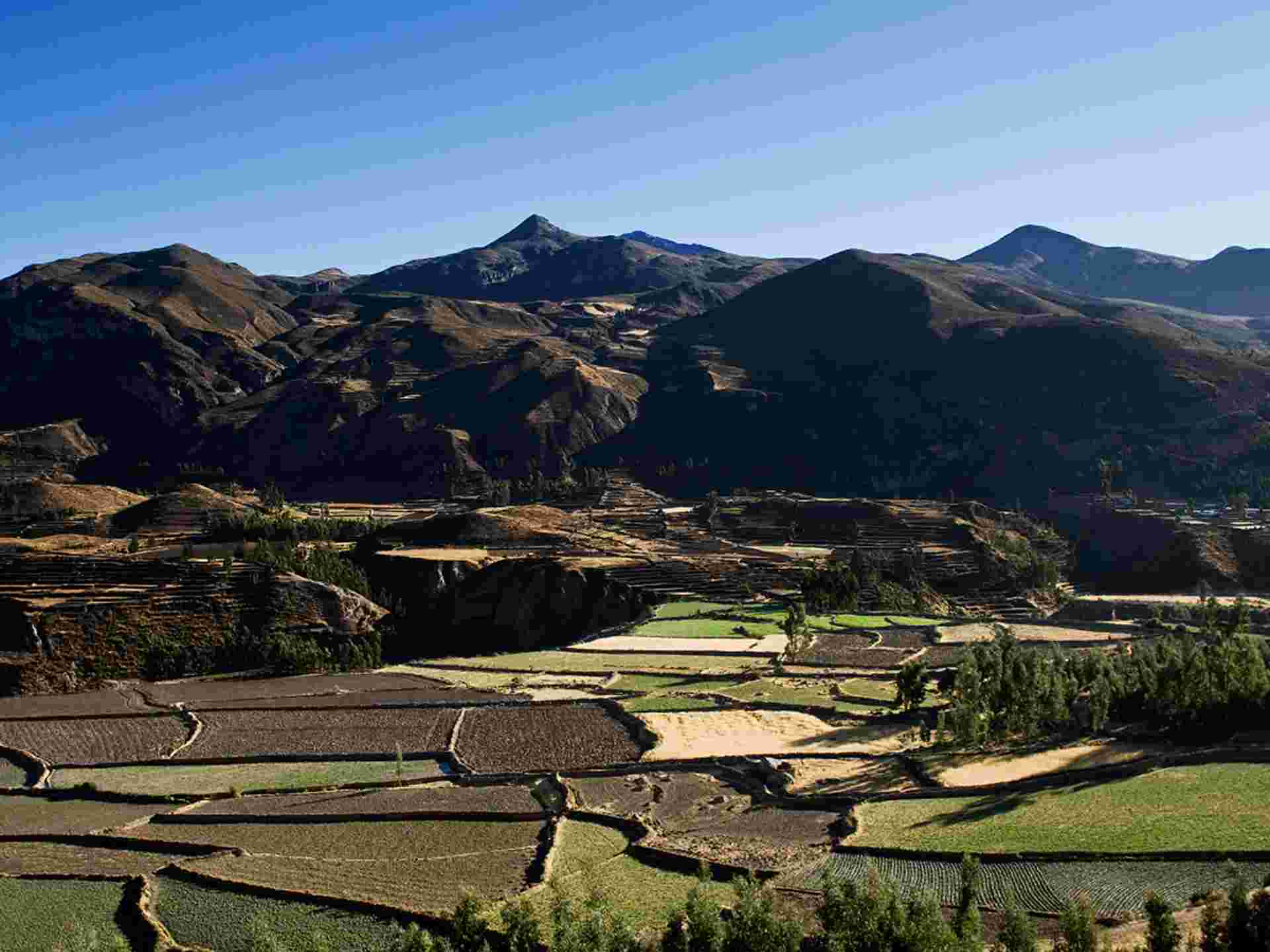 Peru, Canyon & Jungle - 17 days