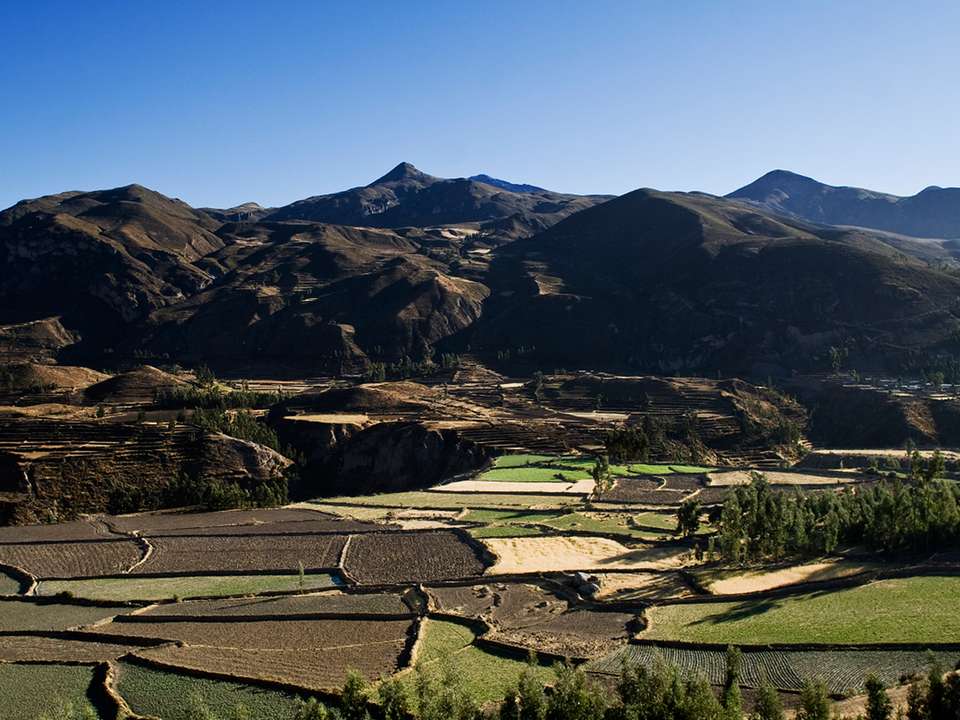 Peru, Canyon & Jungle - 17 days - On The Go Tours - Peru - Image 1