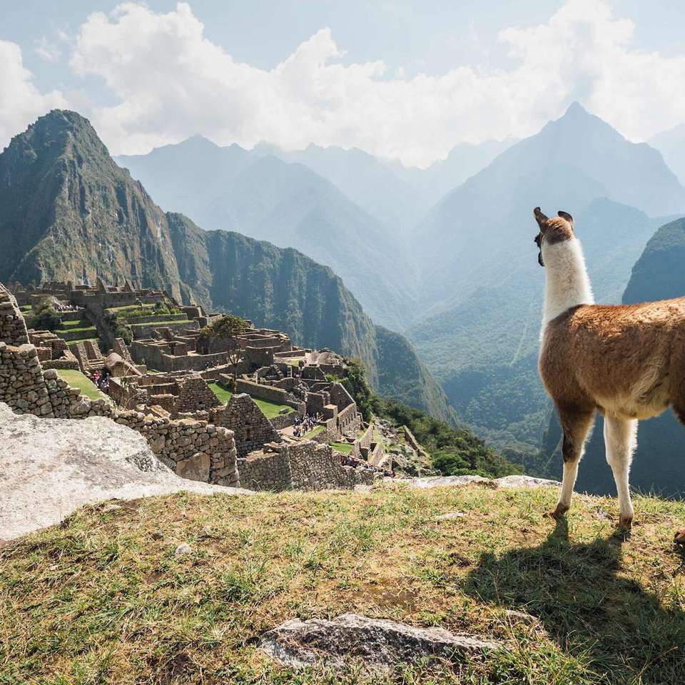 Peru Explorer - Costsaver - Peru - Image 7