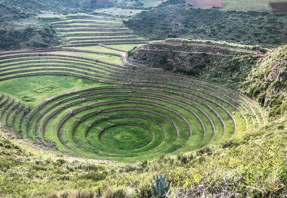 Image 5 of 6