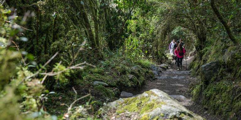 Peru: Inca Trail & the Amazon - 14 days