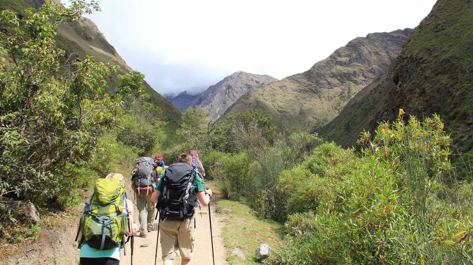 Peru Multi-Sport - undefined - Image 7