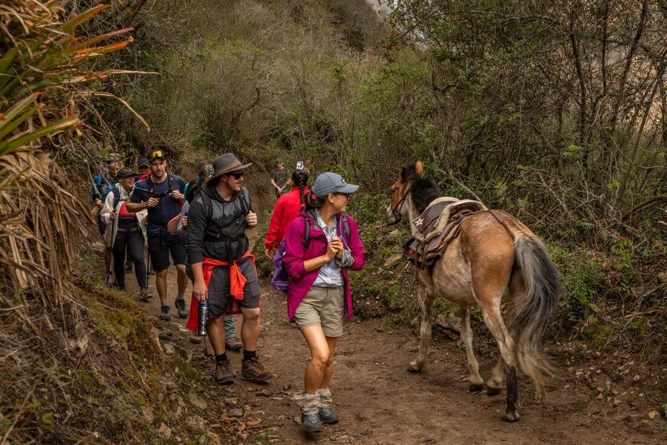 Peru: Trek the Inca Trail 4 Days - Intrepid Travel - Peru