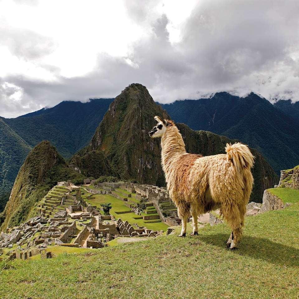 Peru With Machu Picchu - Insight Vacations - Peru - Image 5