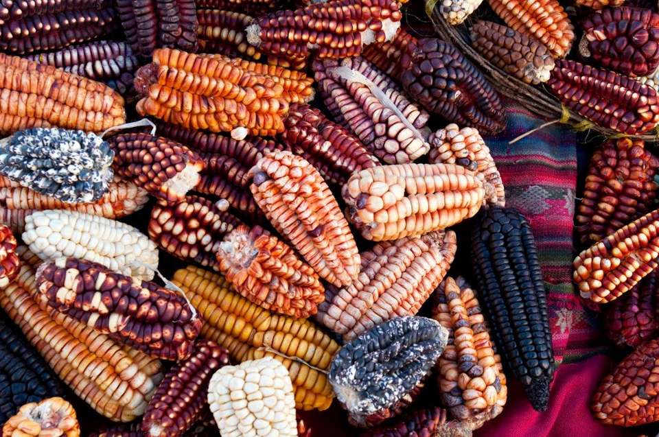 Peruvian Gastro Tour - Destination Services - Peru - Image 1