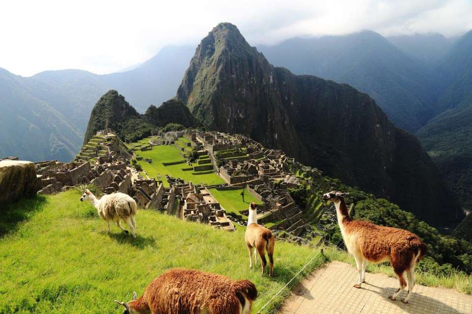 Peruvian Gastro Tour - Destination Services - Peru - Image 4