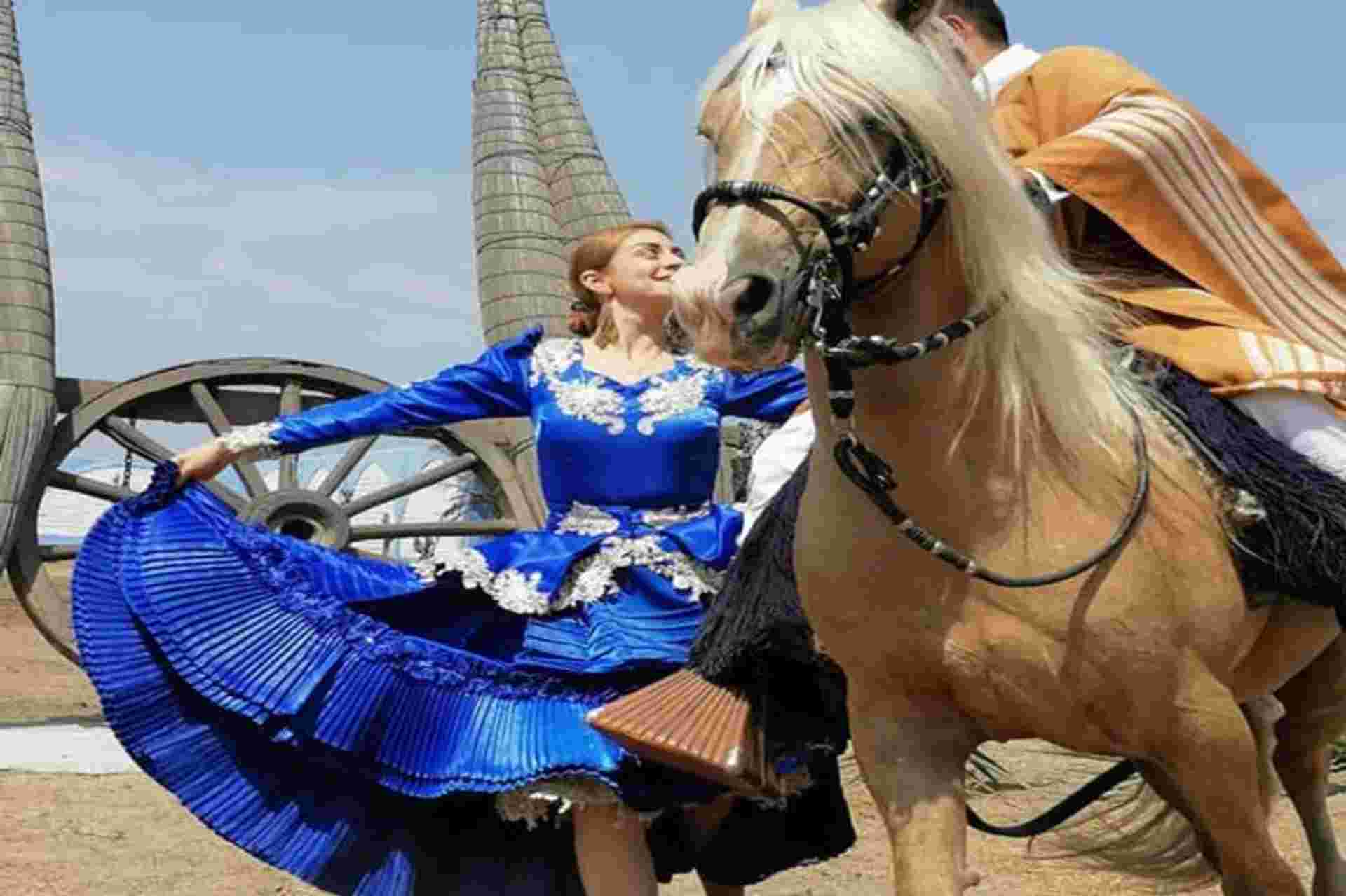 Peruvian Paso Horse & Marinera w/lunch - No transfers