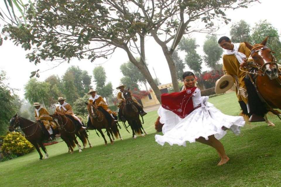 Peruvian Paso Horse & Marinera w/lunch - No transfers - Tangol Tours - Spain - Image 3
