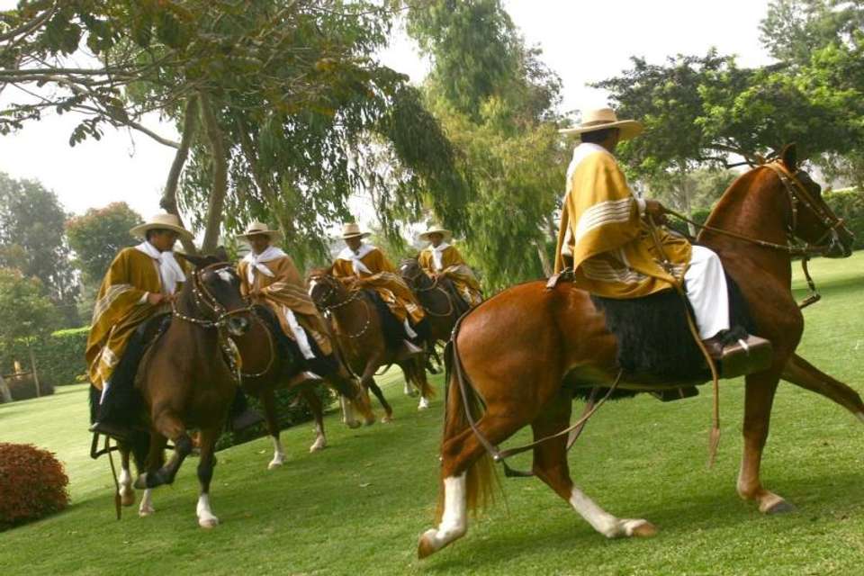 Peruvian Paso Horse & Marinera w/lunch - No transfers - Tangol Tours - Spain - Image 4