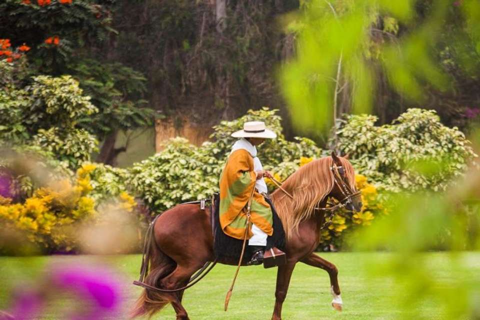 Peruvian Paso Horse & Marinera w/lunch - No transfers - Tangol Tours - Spain - Image 6