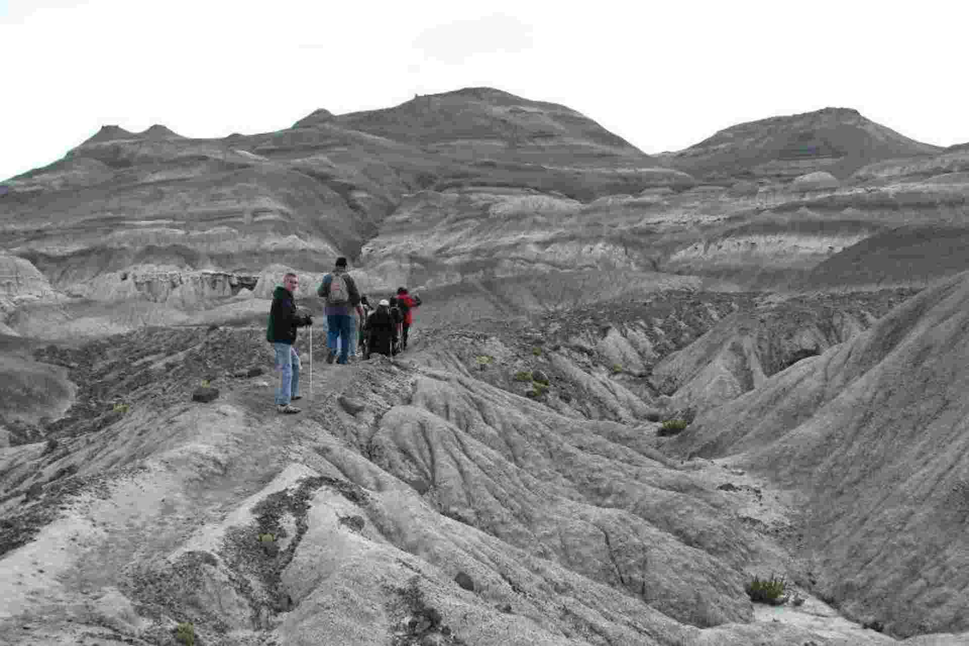 Petrified Forest Day Tour