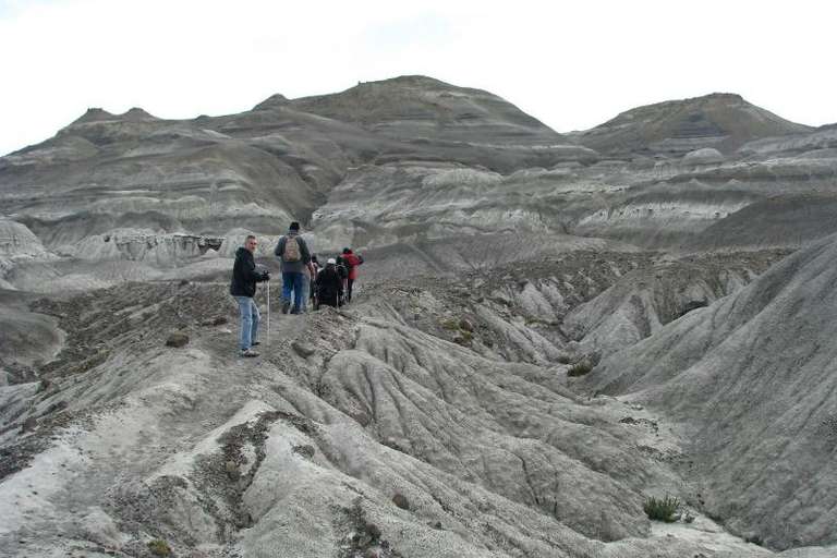 Petrified Forest Day Tour trip - alternative tour available