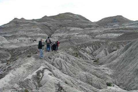 Petrified Forest Day Tour - Fall Tours