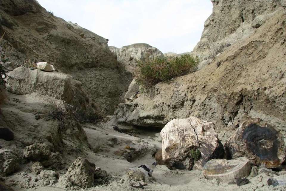 Image 2 of 6