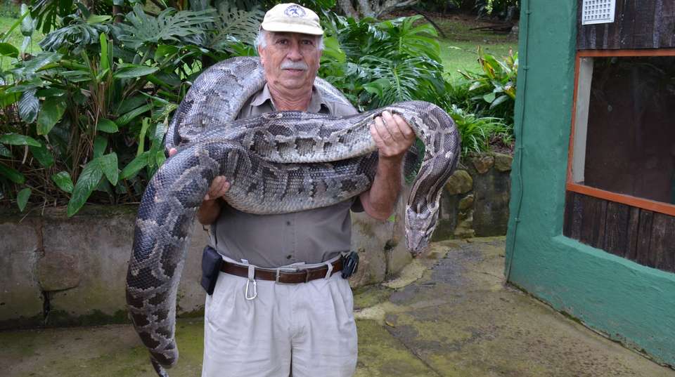 Phezulu Cultural Village and Reptile Park Tour - Zulu Safaris - South Africa - Image 4