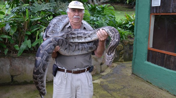Image 4 of 4
