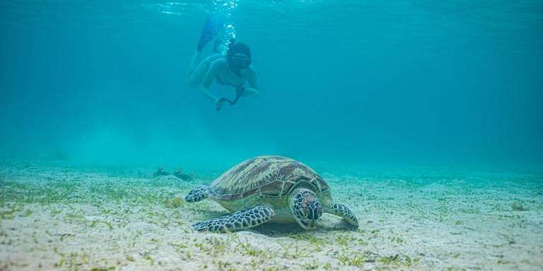 Philippines Express trip - alternative tour available