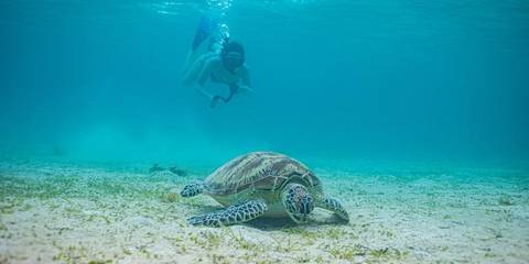 Philippines Express - Spring Tours