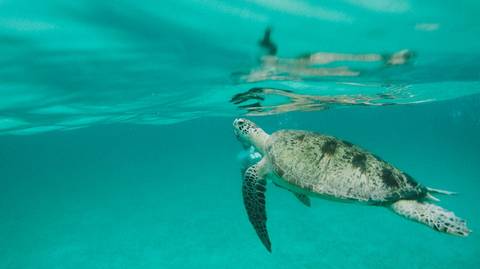 Adventure Tour: Philippines One Life Adventures - 14 Days