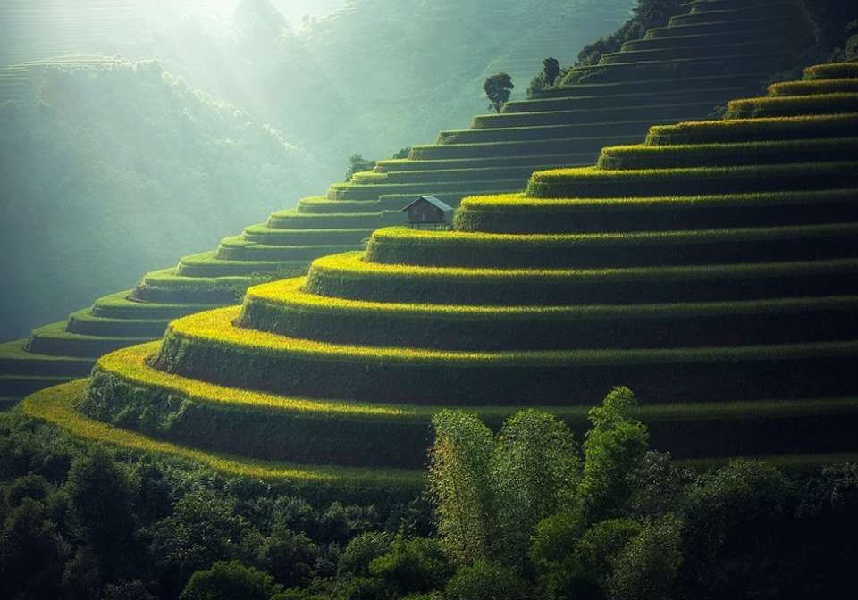 Picturesque Solo Bali And Ubud Tour - Indus Travels - Indonesia - Image 2