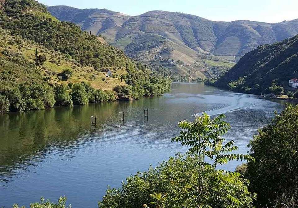 Picturesque Solo Douro Cruise - Indus Travels - Portugal - Image 10
