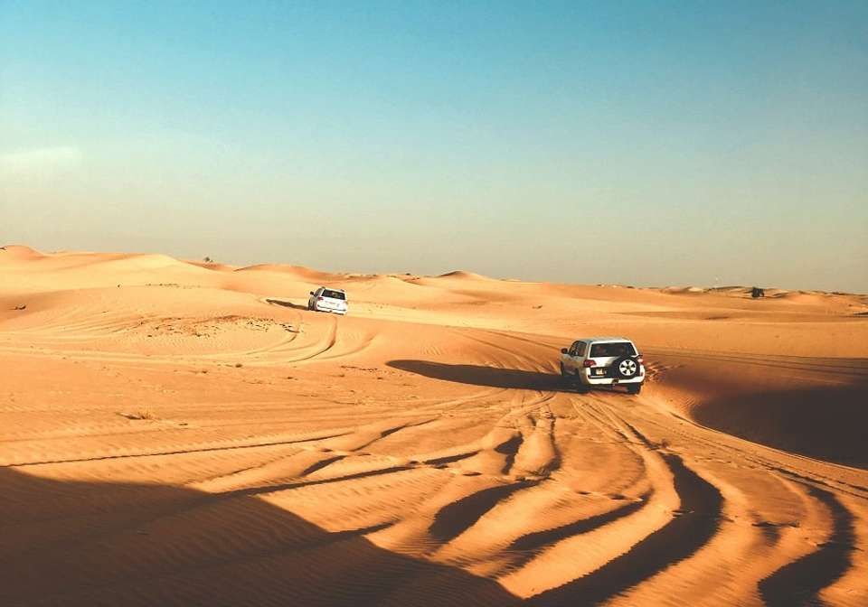 Picturesque Solo Dubai and Abu Dhabi Tour - Indus Travels - UAE - Image 6
