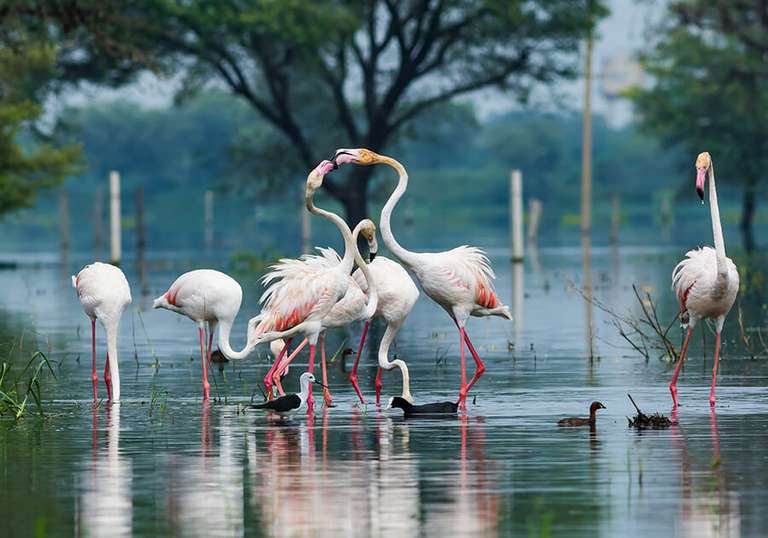 Picturesque Solo India Tour - 6 days