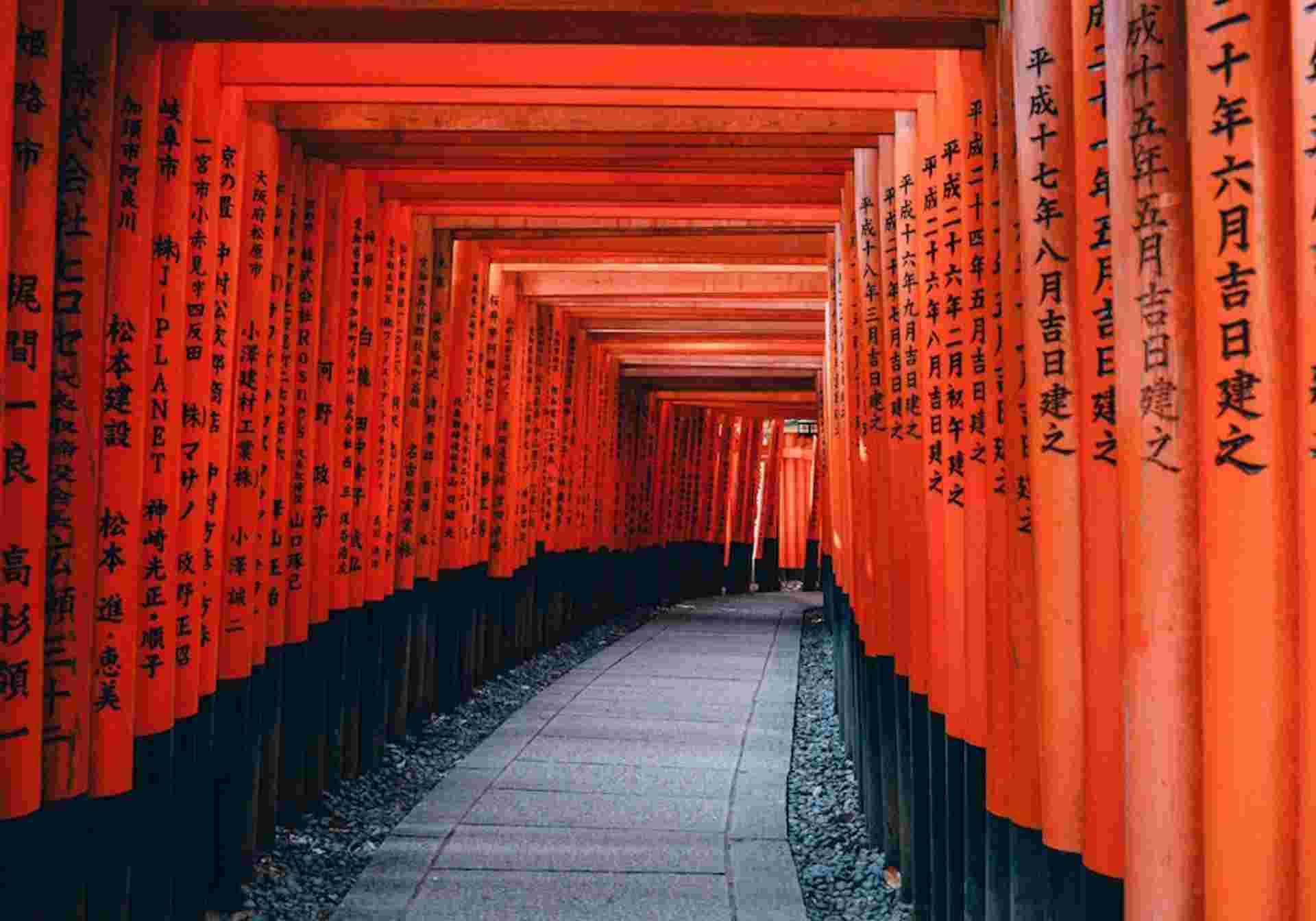 Picturesque Solo Japan Tour