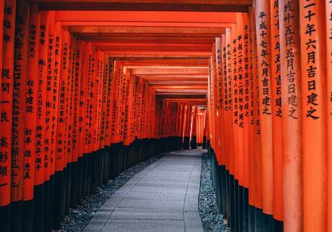 Picturesque Solo Japan Tour - November 2025