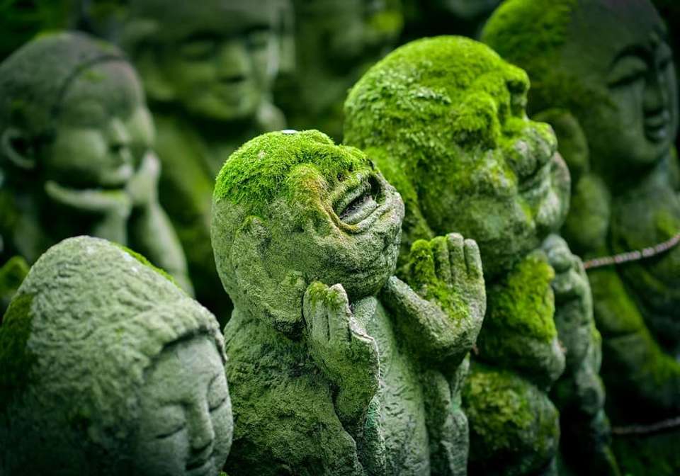 Picturesque Solo Japan Tour - Indus Travels - Japan - Image 5