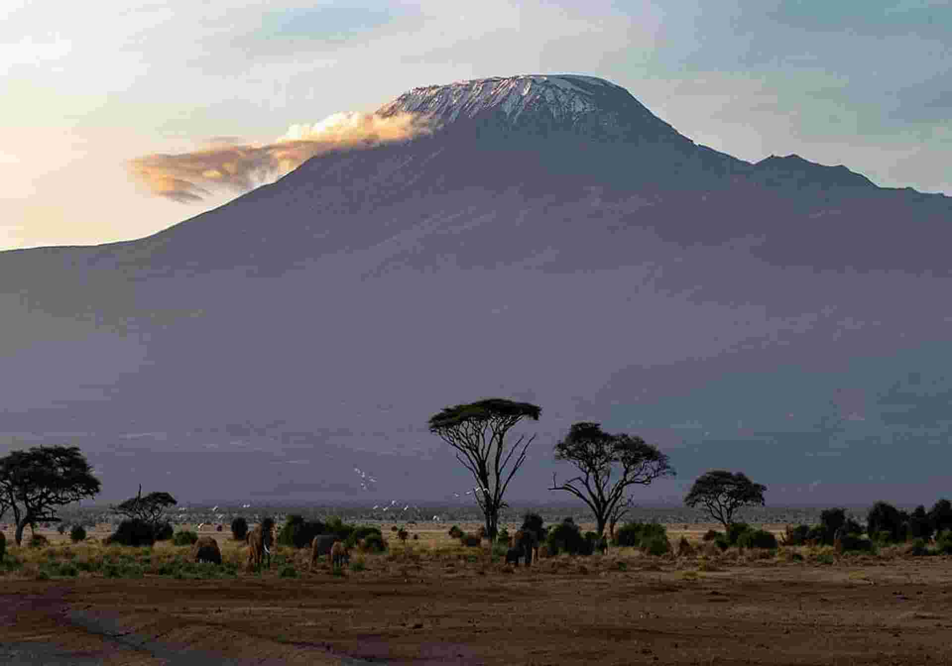 Picturesque Solo Kenya Tour