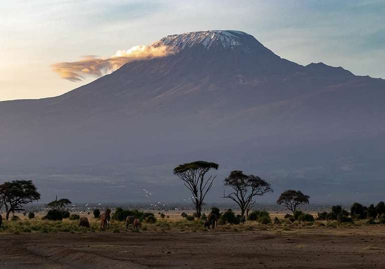 Picturesque Solo Kenya Tour trip - alternative tour available